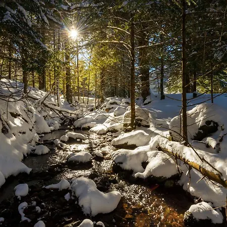 La Ventana De By Bevalle Apartment *