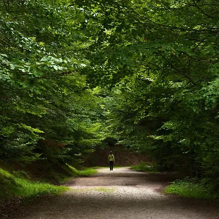 La Ventana De By Bevalle