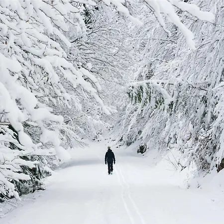 Apartment La Ventana De By Bevalle *