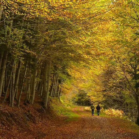 La Ventana De By Bevalle *