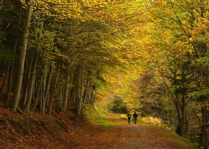 La Ventana De By Bevalle *
