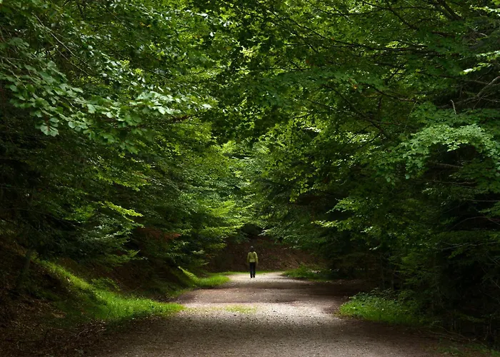 La Ventana De By Bevalle Apartamento *