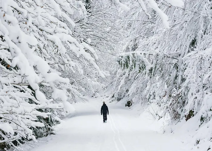 La Ventana De By Bevalle Apartamento Formigal